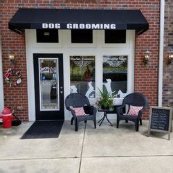 howard beach pet grooming.